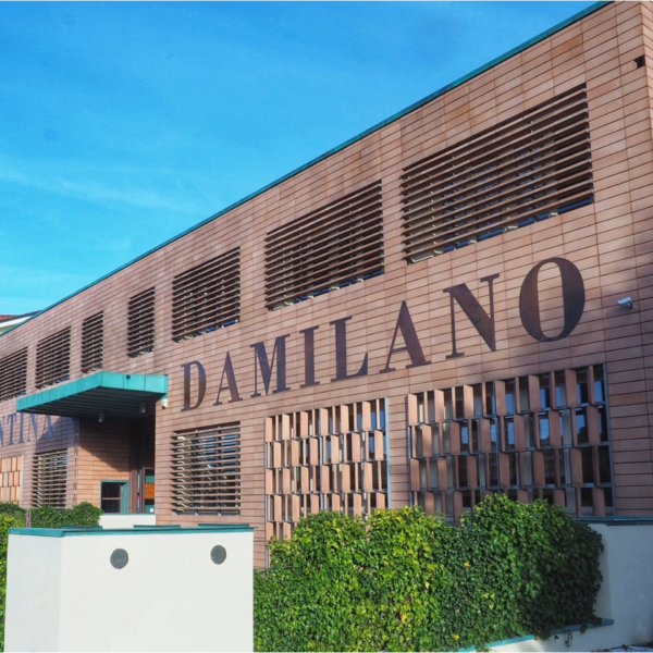 Azienda Agricola Damilano - Barolo